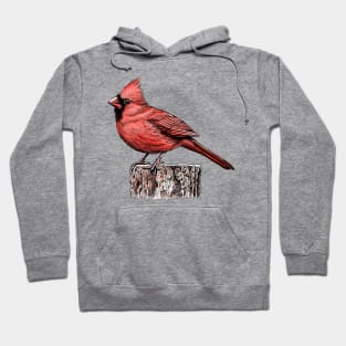 Cardinal Hoodie